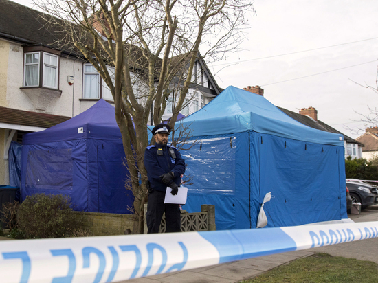 Глушкова убила сексуальная игра: версия про соратника Березовского нашла объяснение