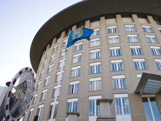 Выводы ОЗХО по делу Скрипаля оценили эксперты: возможны новые санкции