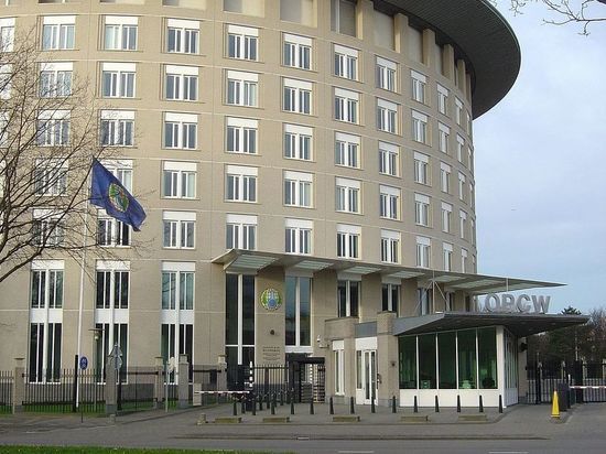 Пранкеры вытянули из главы ОЗХО угрожающий США секрет про 