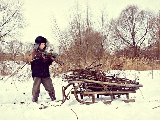 Теперь заживем: Госдума официально разрешила россиянам собирать валежник