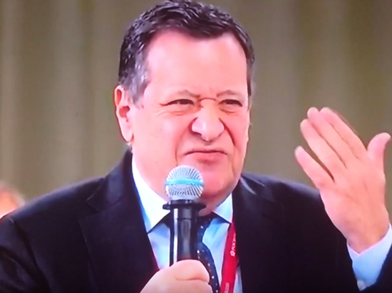 «Система — воровать»: депутат раздраконил правительство на Петербургском форуме